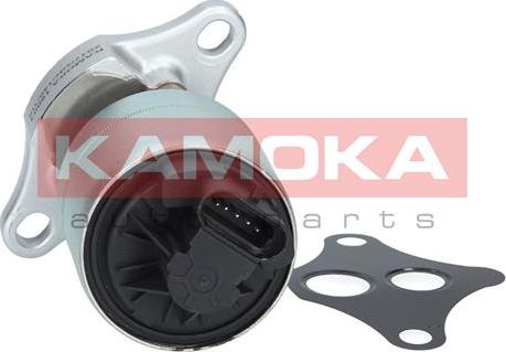 Kamoka 19001 - EGR ventil www.molydon.hr