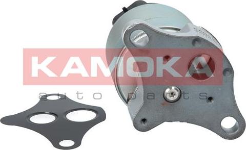 Kamoka 19001 - EGR ventil www.molydon.hr