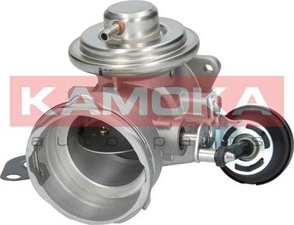 Kamoka 19026 - EGR ventil www.molydon.hr