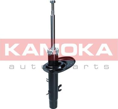 Kamoka 2000171 - Amortizer www.molydon.hr