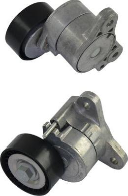 Kavo Parts DTP-5514 - Vodeći valjak , klinasti rebrasti remen  www.molydon.hr