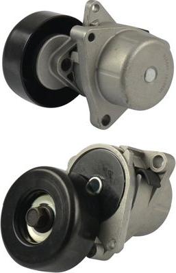 Kavo Parts DTP-6548 - Vodeći valjak , klinasti rebrasti remen  www.molydon.hr