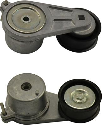 Kavo Parts DTP-6555 - Vodeći valjak , klinasti rebrasti remen  www.molydon.hr