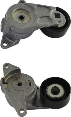 Kavo Parts DTP-1010 - Vodeći valjak , klinasti rebrasti remen  www.molydon.hr