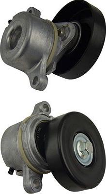 Kavo Parts DTP-8501 - Vodeći valjak , klinasti rebrasti remen  www.molydon.hr