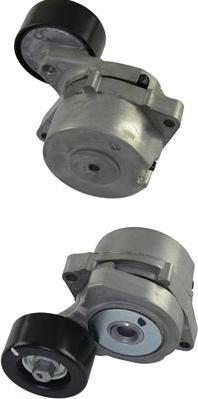 Kavo Parts DTP-2003 - Vodeći valjak , klinasti rebrasti remen  www.molydon.hr