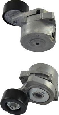 Kavo Parts DTP-2012 - Vodeći valjak , klinasti rebrasti remen  www.molydon.hr