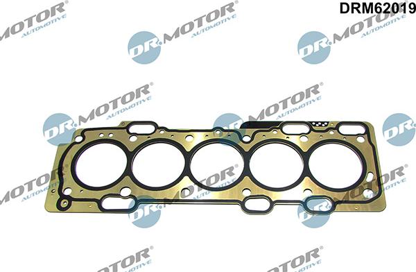 Lizarte DRM62019 - Brtva, glava cilindra www.molydon.hr