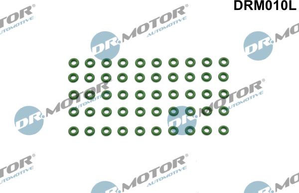 Lizarte DRM010L - Brtva, Držač injektori www.molydon.hr