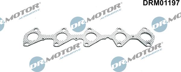 Lizarte DRM01197 - Brtva, Ispušna grana www.molydon.hr