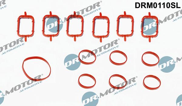 Lizarte DRM0110SL - Garnitura brtvi, usisna grana www.molydon.hr