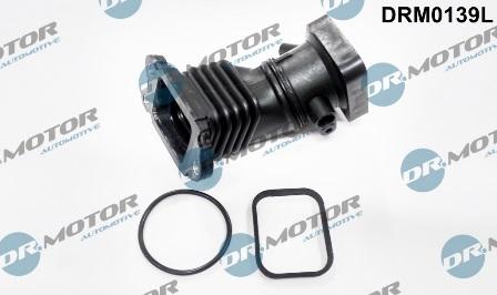 Lizarte DRM0139L - Usisno Crijevo, filter za zrak www.molydon.hr