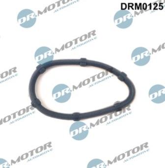 Lizarte DRM0125 - Brtva, odusak bloka motora www.molydon.hr