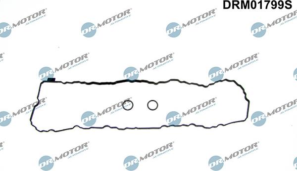 Lizarte DRM01799S - Garnitura brtvi, karter www.molydon.hr