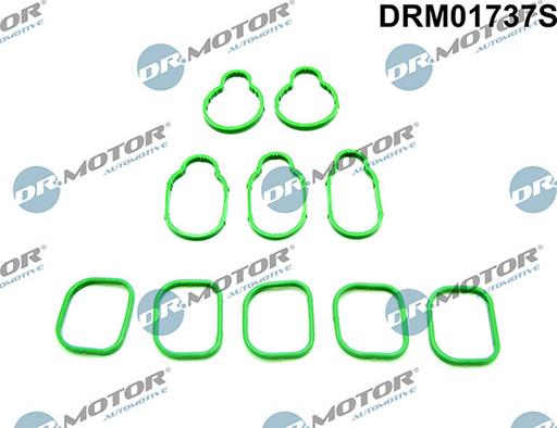 Lizarte DRM01737S - Garnitura brtvi, usisna grana www.molydon.hr