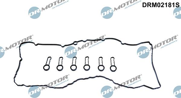 Lizarte DRM02181S - Garnitura brtvi, poklopac glave cilindra www.molydon.hr