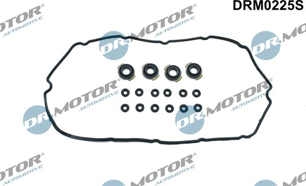 Lizarte DRM0225S - Garnitura brtvi, poklopac glave cilindra www.molydon.hr