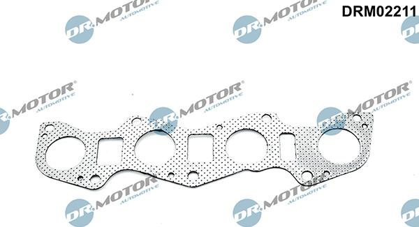 Lizarte DRM02211 - Brtva, Ispušna grana www.molydon.hr