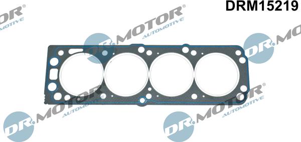 Lizarte DRM15219 - Brtva, glava cilindra www.molydon.hr