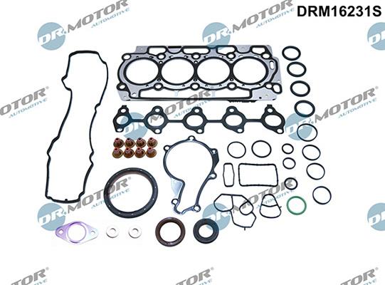 Lizarte DRM16231S - Kompletan set brtvi, motor www.molydon.hr