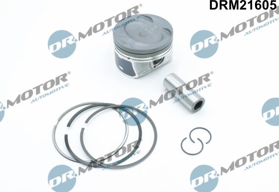 Lizarte DRM21605 - Klip www.molydon.hr