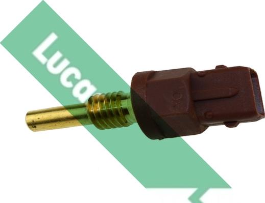 LUCAS SNB848 - Senzor, temperatura ulja www.molydon.hr