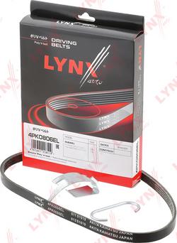 LYNXauto 4PK0806EL - Klinasti rebrasti remen  www.molydon.hr