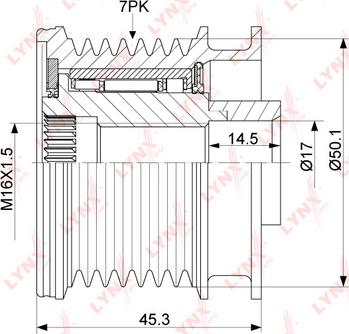 LYNXauto PA-1098 - Remenica, alternator www.molydon.hr