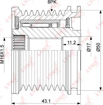 LYNXauto PA-1075 - Remenica, alternator www.molydon.hr