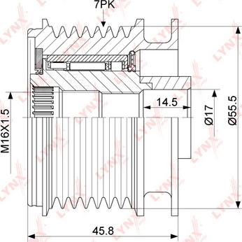 LYNXauto PA-1113 - Remenica, alternator www.molydon.hr