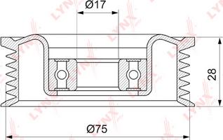 LYNXauto PB-5144 - Vodeći valjak , klinasti rebrasti remen  www.molydon.hr