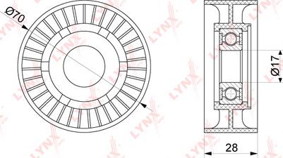 LYNXauto PB-5228 - Vodeći valjak , klinasti rebrasti remen  www.molydon.hr