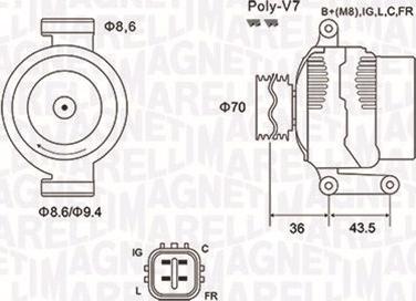 Magneti Marelli 063731980010 - Alternator www.molydon.hr