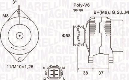 Magneti Marelli 063731889010 - Alternator www.molydon.hr