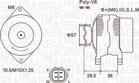 Magneti Marelli 063732102010 - Alternator www.molydon.hr