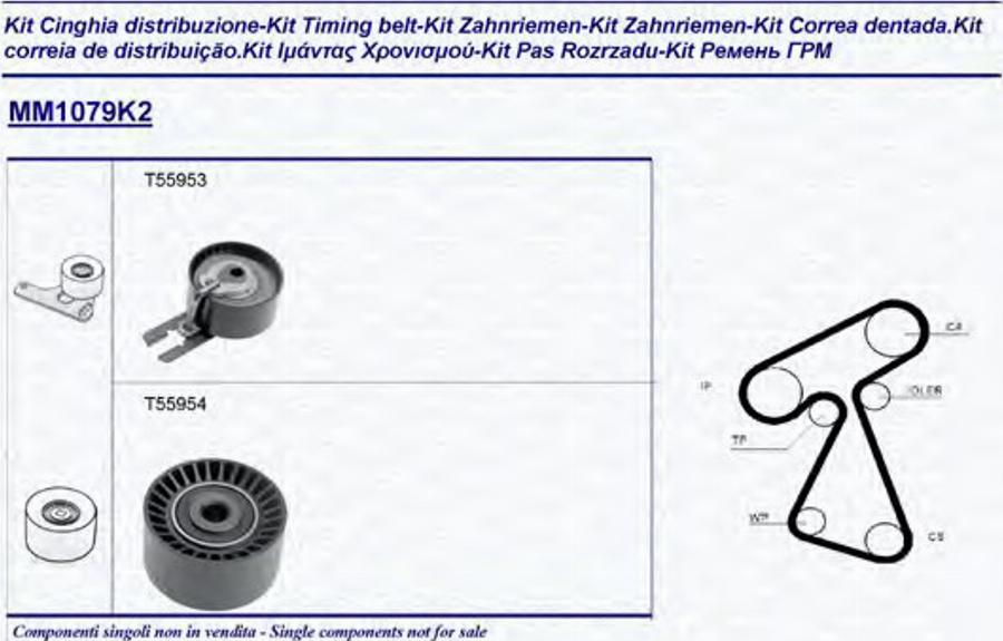 Magneti Marelli 341310791102 - Komplet zupčastog remena www.molydon.hr