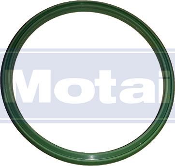 Motair Turbo 580804 - Crijevo interkulera www.molydon.hr