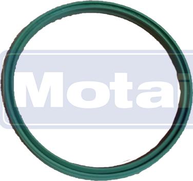 Motair Turbo 580805 - Crijevo interkulera www.molydon.hr