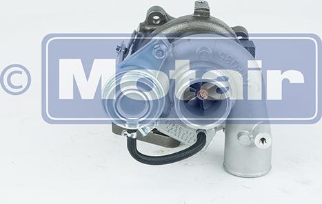 Motair Turbo 334641 - Kompresor, prehranjivac www.molydon.hr