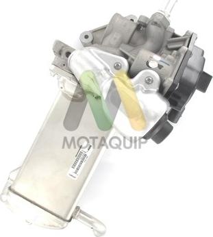 Motaquip LVER190 - EGR ventil www.molydon.hr