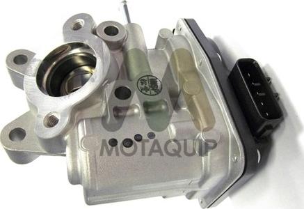 Motaquip LVER157 - EGR ventil www.molydon.hr