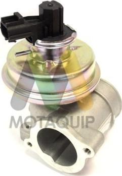 Motaquip LVER163 - EGR ventil www.molydon.hr