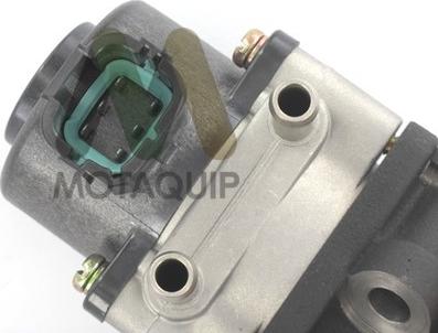 Motaquip LVER106 - EGR ventil www.molydon.hr