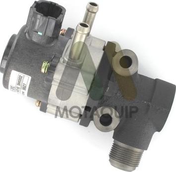 Motaquip LVER106 - EGR ventil www.molydon.hr