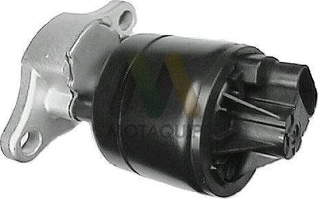 Motaquip LVER124 - EGR ventil www.molydon.hr