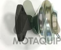 Motaquip LVER127 - EGR ventil www.molydon.hr