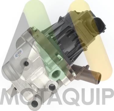 Motaquip LVER399 - EGR ventil www.molydon.hr