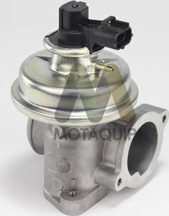 Motaquip LVER349 - EGR ventil www.molydon.hr