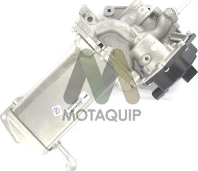 Motaquip LVER344 - EGR ventil www.molydon.hr