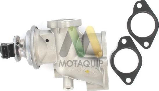 Motaquip LVER343 - EGR ventil www.molydon.hr